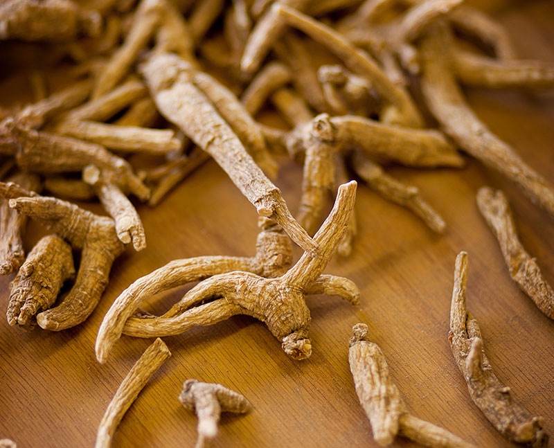 Ginseng de Wisconsin